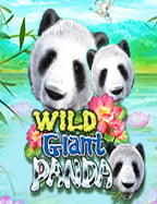 เล่น เกม สล็อต roma แบบ ทดลอง ฟรี สนุกและง่ายๆ